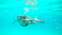 Private Speedboat tour "Zadar Islands - Off the Beaten Path"