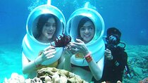 Ocean Walker Bali Water Sport with Uluwatu Cliff Temple Tour