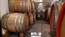 Private Irpinia Wine Tour from NAPLES with sommelier