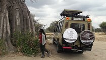 5 Days Tanzania Safari - Migration and Big 5 Safaris