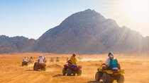 Safari trip in Hurghada (3 hours)