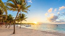 Amazing Adventure in Akumal. Swim with turtles and discover Tulum Ruins.