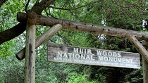 Muir Woods, Sausalito and Golden Gate Bridge