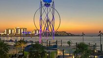 Dubai Flying Cup At JBR Beach