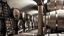 Verona area: Wine Tasting Experience in Valpolicella