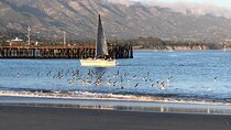 5 STARS: "Where The Locals Go!" Nature-History Tour