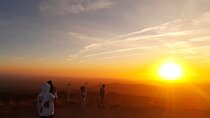 Sunset Safari 4H