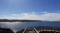 Discovering the Costa Vicentina - 8 Hours