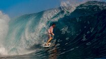2-Hour Surf Lessons with a Pro