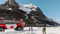 Columbia Icefield Glacier Adventure Day Tour from Calgary/ Banff