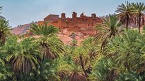 Tardoudant Tiout Oases Explore