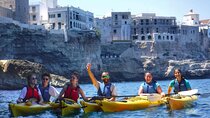 POLIGNANO Kayak Tour + swimming stop in cave