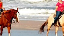 horse riding in hurghada 1 hour beach 
