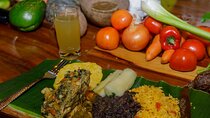Cooking Class and Medical Plants Garden