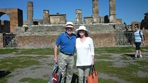 POMPEII TOUR - from Sorrento or Naples (private van)