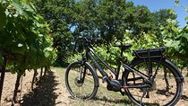 Full day E-Bike rental around the Mont-Ventoux