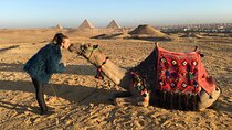 Half-Day Tour to Giza Pyramids, Sphinx with Camel Ride