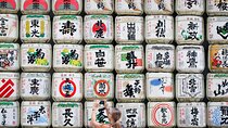 Tokyo 6hr Instagram Highlights Private Tour with Licensed Guide