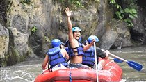 Half-Day Private White Water Rafting Adventure in Ubud