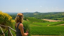 Discover the wine producers of Emilia Romagna