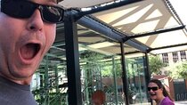 Scavenger Hunt Adventure in Toronto by Zombie Scavengers