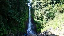 2 Day Tours Ubud Art Village, Dance And Other Tourist Attractions