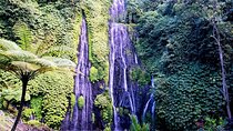 Full Day Trip Bayumala Beautiful Waterfall And Ulun Danu Beratan