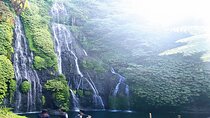 Private Tour the Beauty of Banyumala Waterfall 