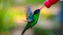 Rockland Bird Sanctuary Private Tour 