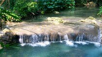 Mayfield Falls River Walk Private Tour 