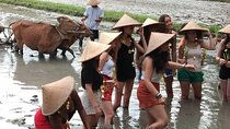 Experience Local Life Tour in Traditional Balinese Village