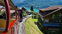 Bernese Alps, Steam Train & Lake Cruise Private Tour