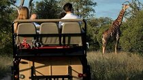 3-Day Private Budget Safari to Serengeti Np and Ngorongoro Crater