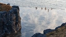 Golden Circle, Sky Lagoon and Kerid Crater Tour from Reykjavik