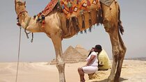 Private Tour Camel Ride with Local Dinner in Sahara Desert