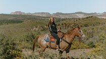 East Zion Pine Knoll Horseback Ride