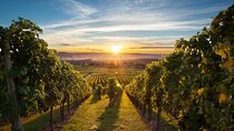 East Kelowna Wine Tour from Vernon - Classic - 6 Wineries