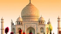 Private Taj Mahal Sunrise Tour from Delhi by Car All Inclusive 