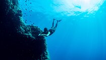 Snorkeling with Marine Biologist Expert from Sorrento