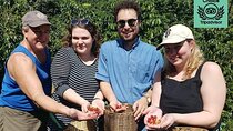 Coffee Lovers Express Coffee Tour 
