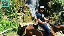 Private Day Tour of Jardín with Horseback Ride and Coffee Villa from Medellin