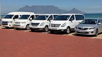 Shark Cage Diving + Wine Tasting Private From Cape Town F/D