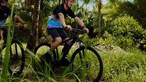 Small-Group Guided Bike Tour in Jacó