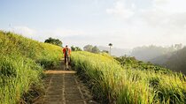 Bali: Floating Breakfast, Jungle Swing & Spa Romantic Tour