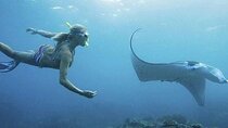 Full-Day Island-Hopping Tour from Bali