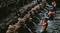 Private Tour: Kintamani Sightseeing Tour