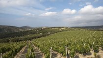 Private Cretan Gastronomic experience Winery visit with Tastings & Cooking Class