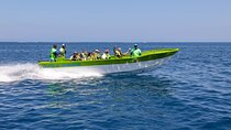Full Day Isla Bonita Speed Tours
