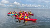 Indian River Clear Bottom Kayak or Paddleboarding Manatee and Dolphin Tour 