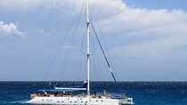 Whale & Dolphin Watching in Tenerife (Puerto Colon) On a Large Catamaran